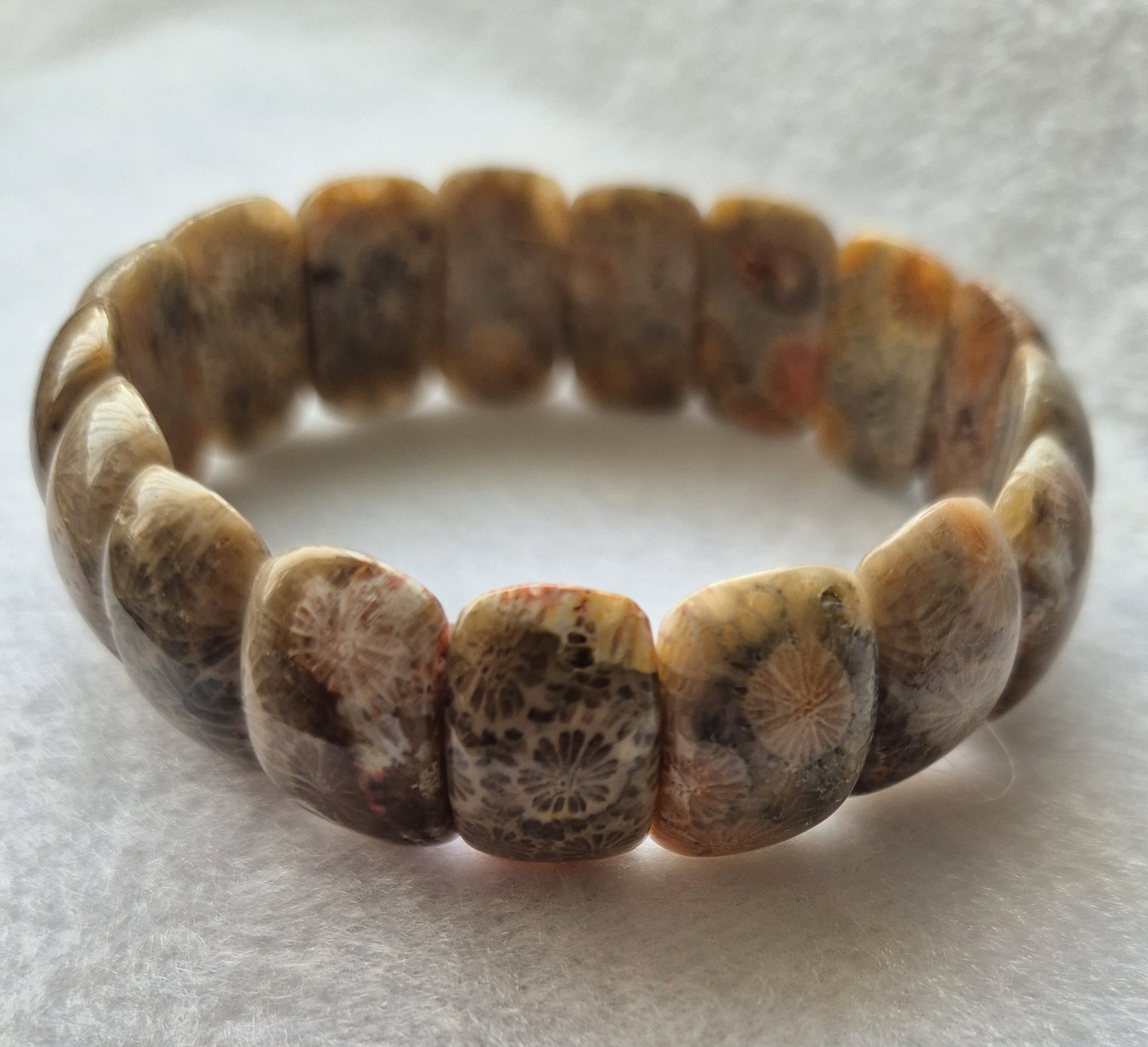 Fossil Jasper Bracelet